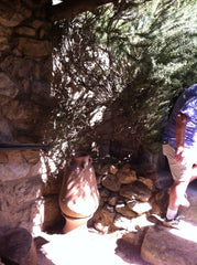Hill's Canine Vetessentials Mature Adult