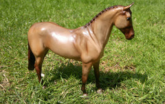 Royal Canin Growth Feline