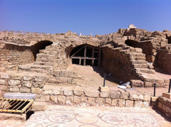 Hill's Canine Vetessentials Adult Mini